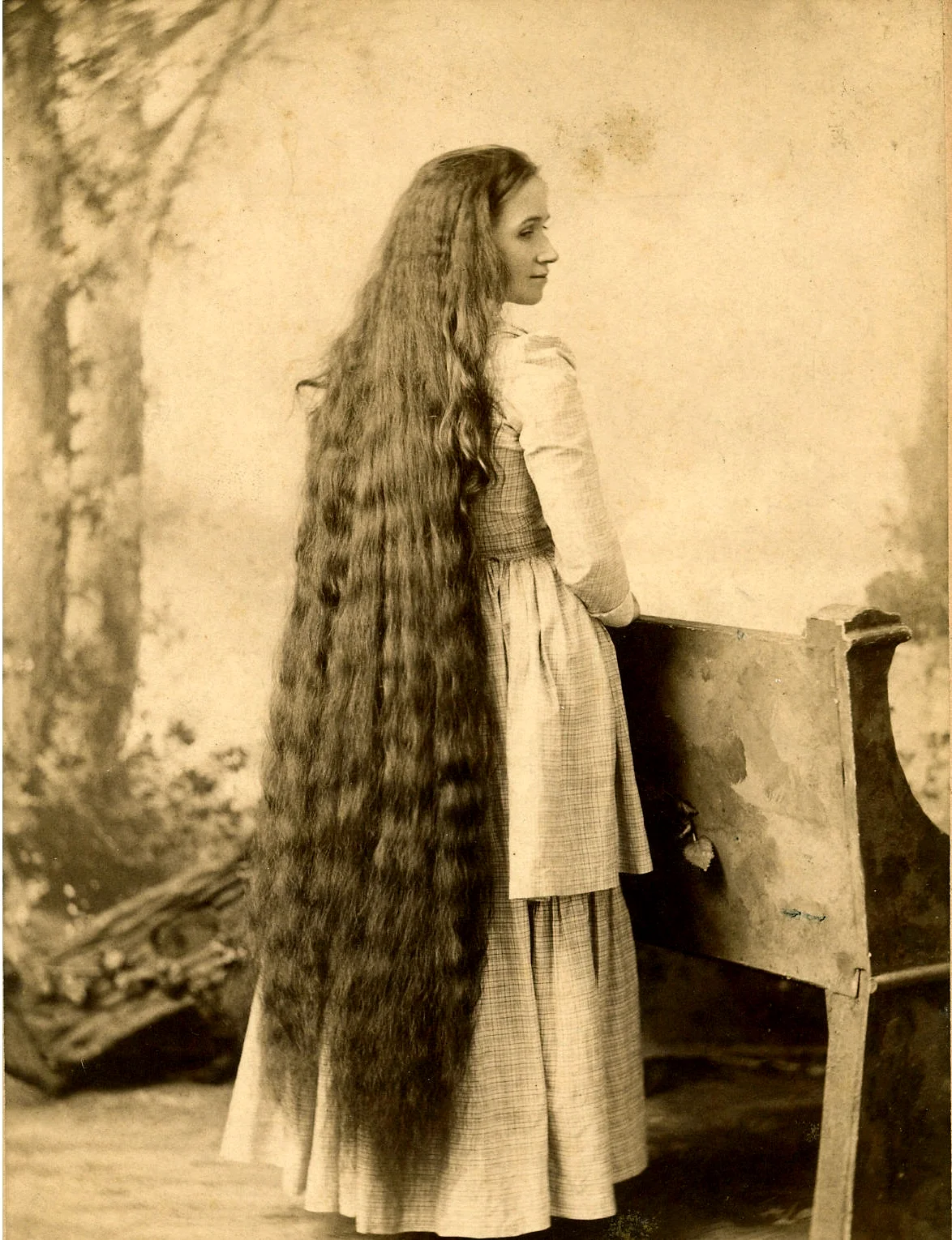Длинные волосы Викторианская эпоха
