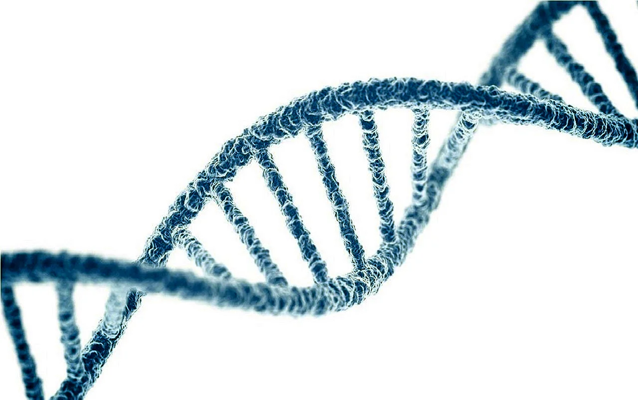 ДНК без фона