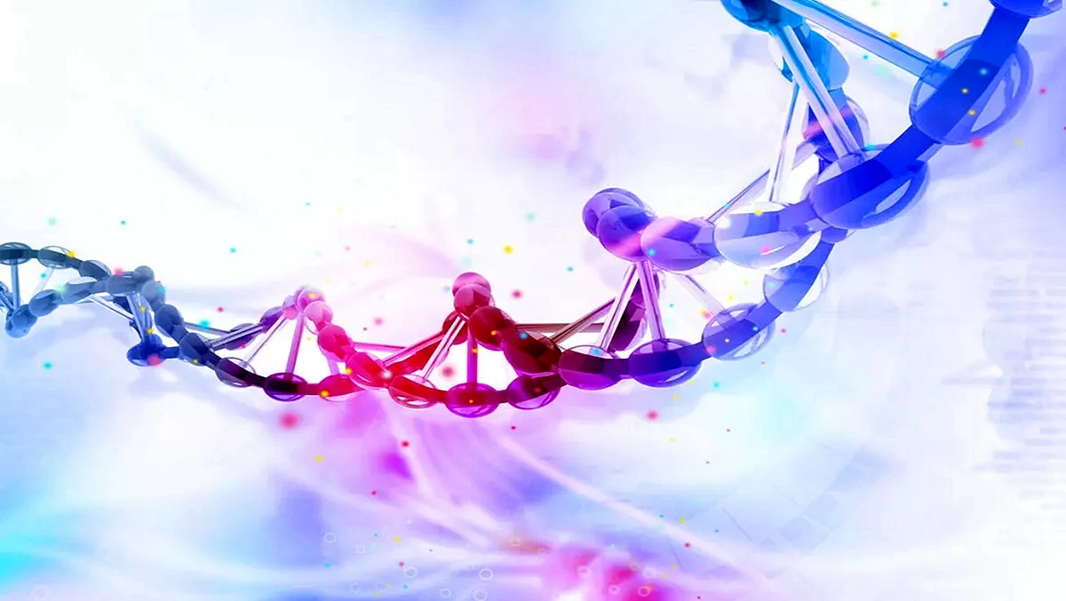 ДНК светлый фон