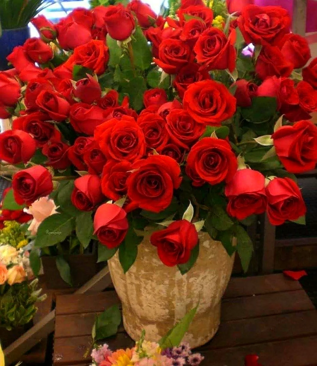 Доброе утро букет красных роз