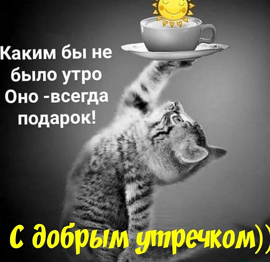 Доброе утро юмор