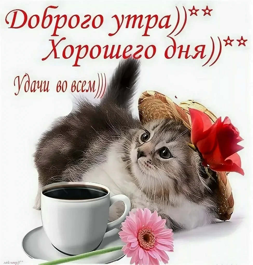 Доброе утром ихорршеготдня