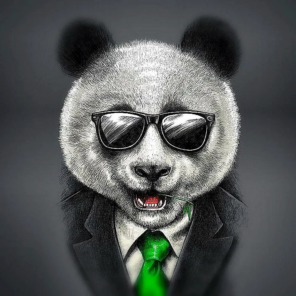 Догаев Михаил Михайлович