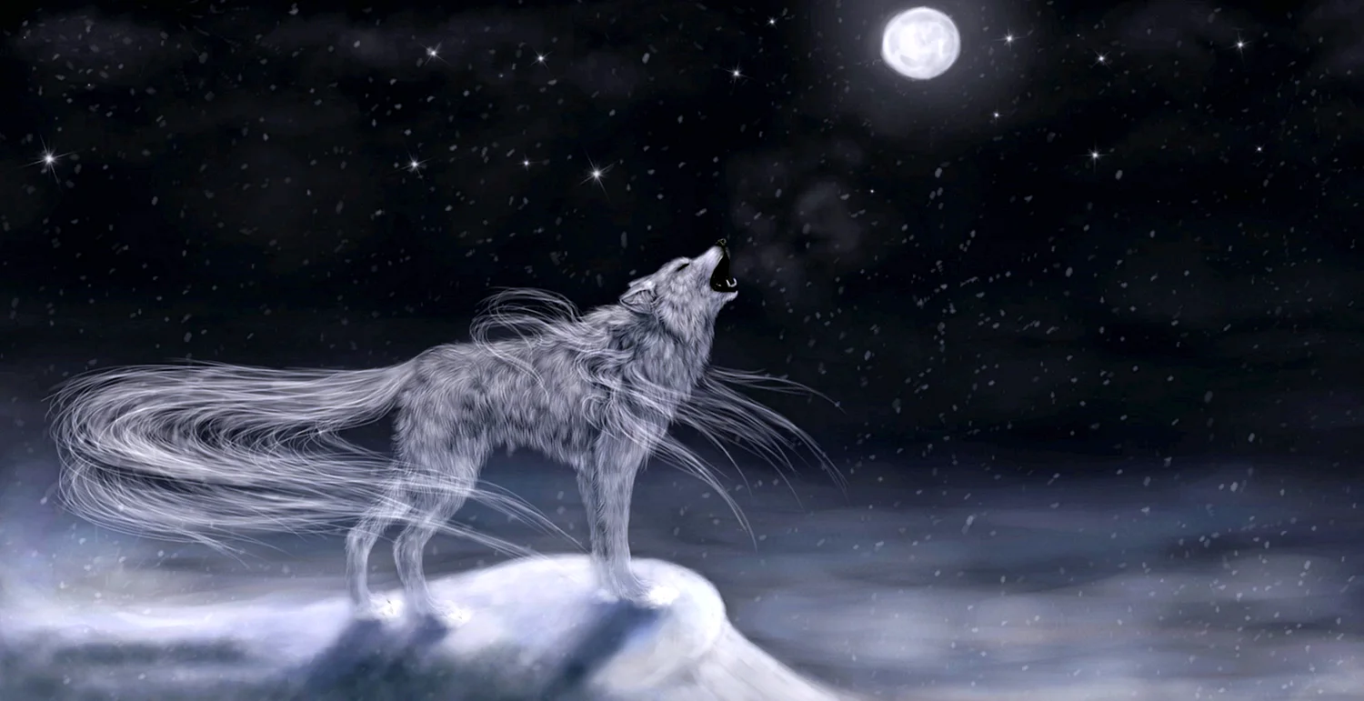 Долгогривый снежный волк