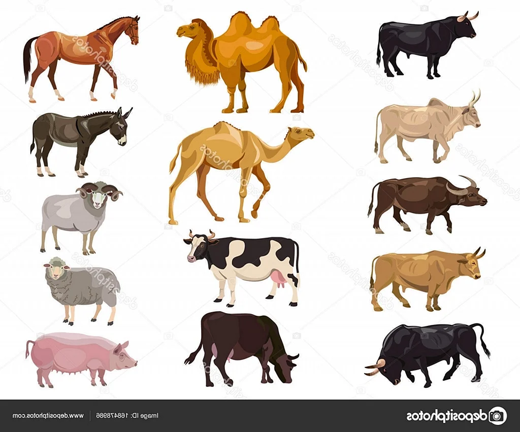Домашних животных – коровы, лошади, овцы