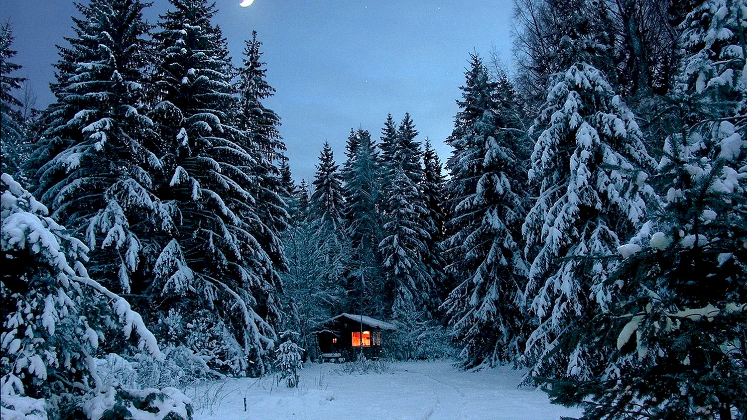 Домик в лесу зимой
