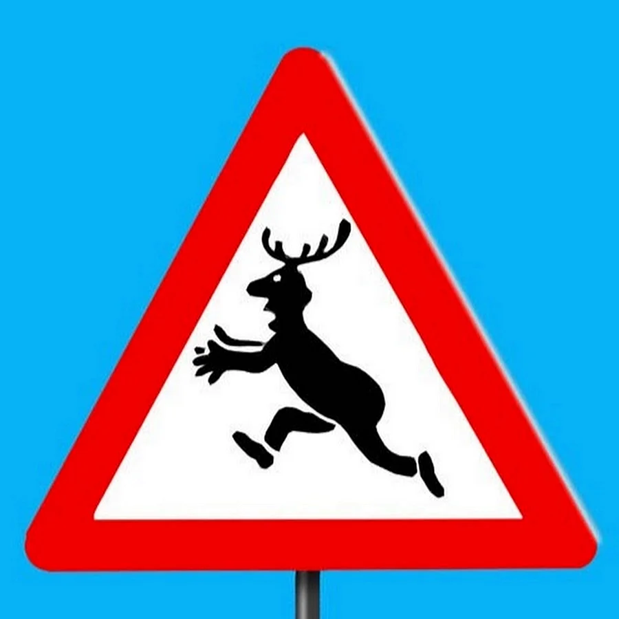 Дорожный знак олень