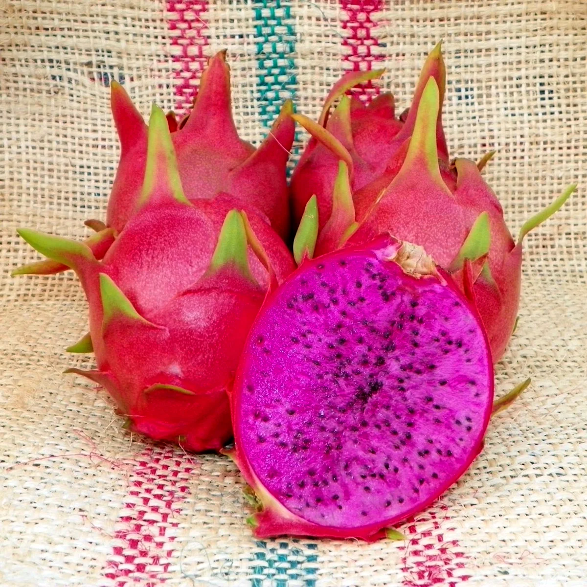 Драгон фрукт фиолетовый