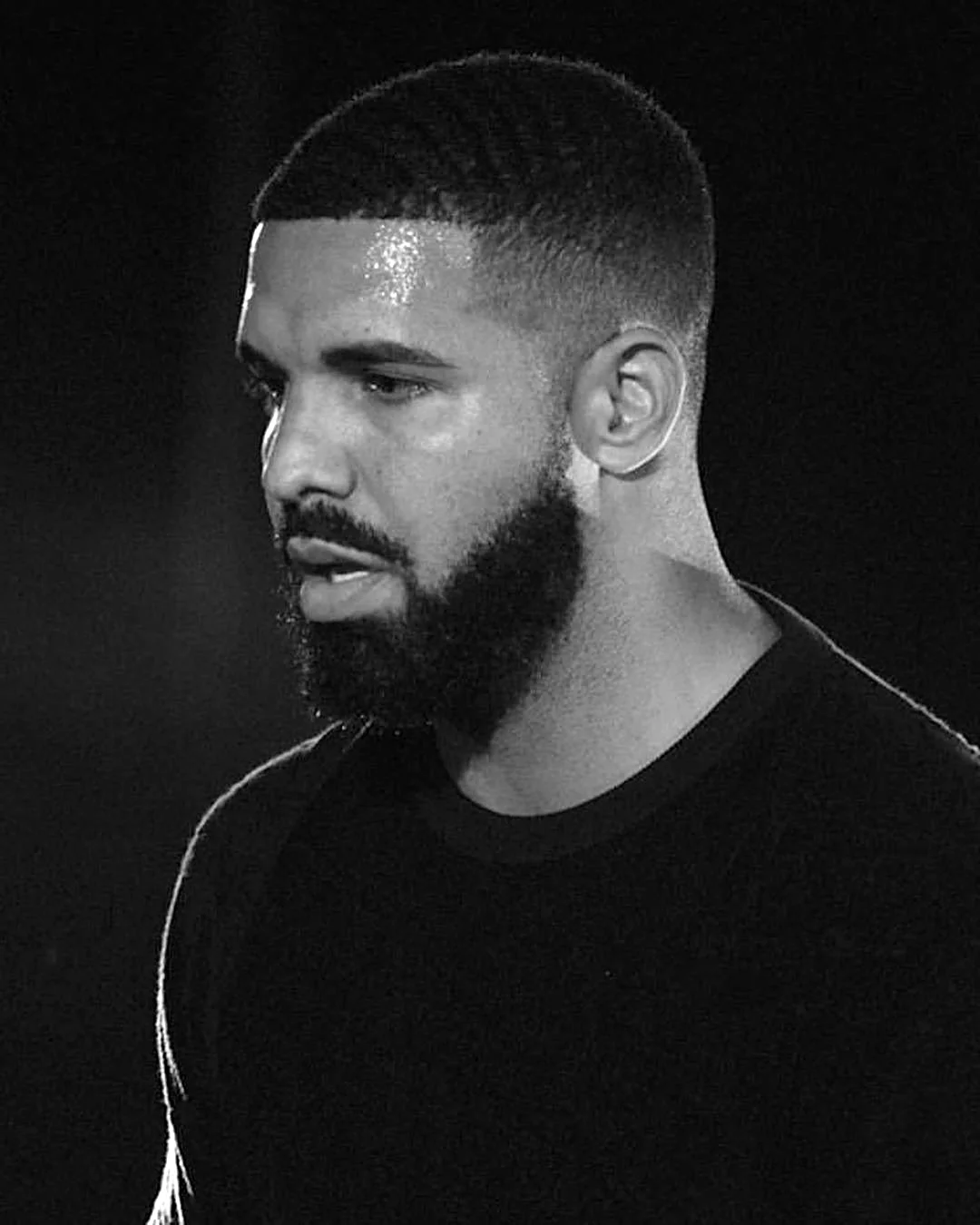 Drake 2020