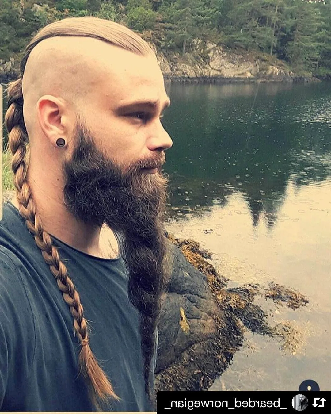 Дреды на бороде у викингов