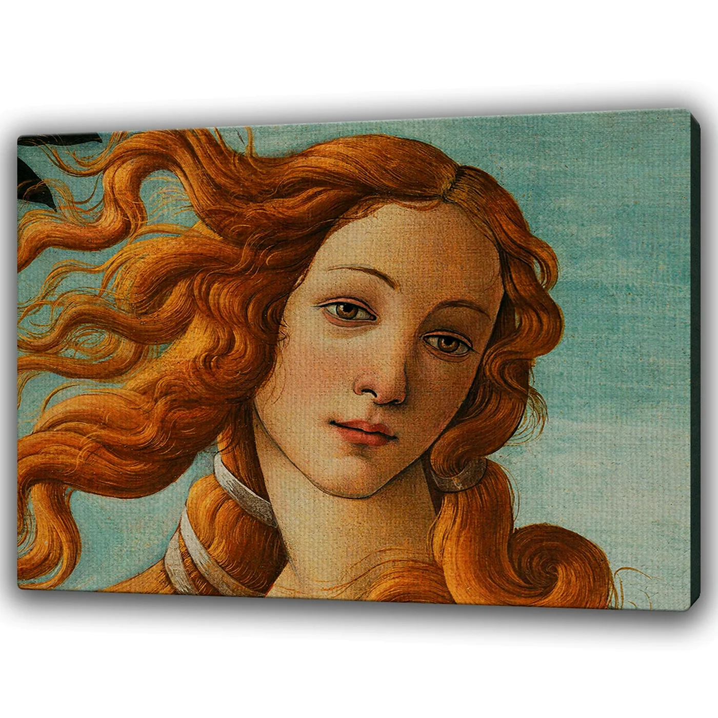 Древнеримская богиня Венера