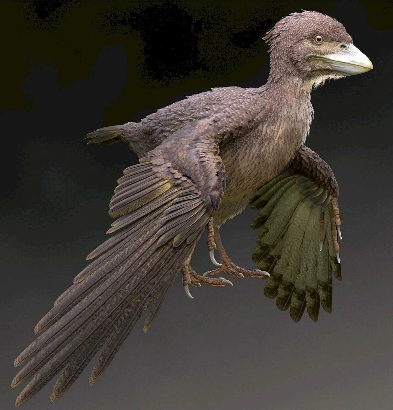 Древняя птица Археоптерикс