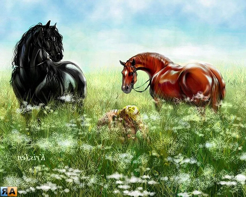 Две лошади в поле