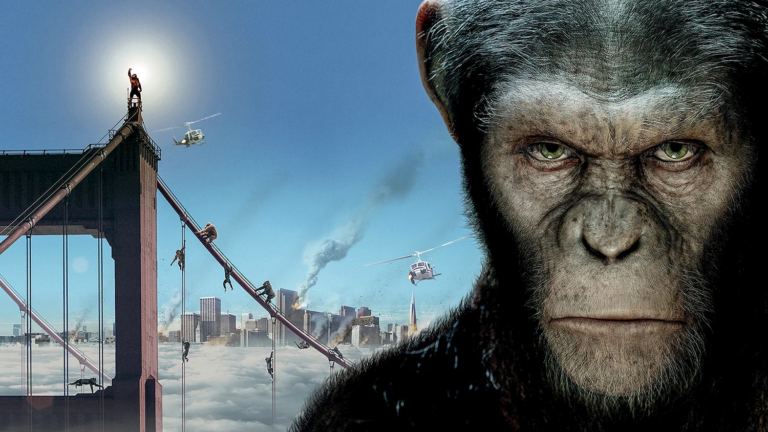 Джеймс Франко восстание планеты обезьян