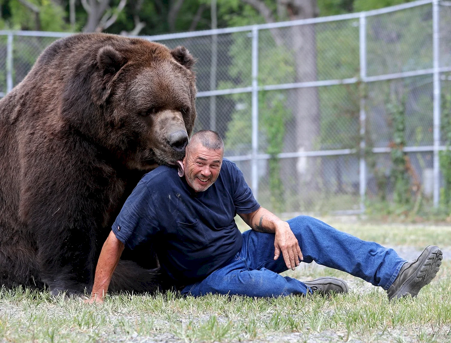 Джим Ковальчик и его медведи
