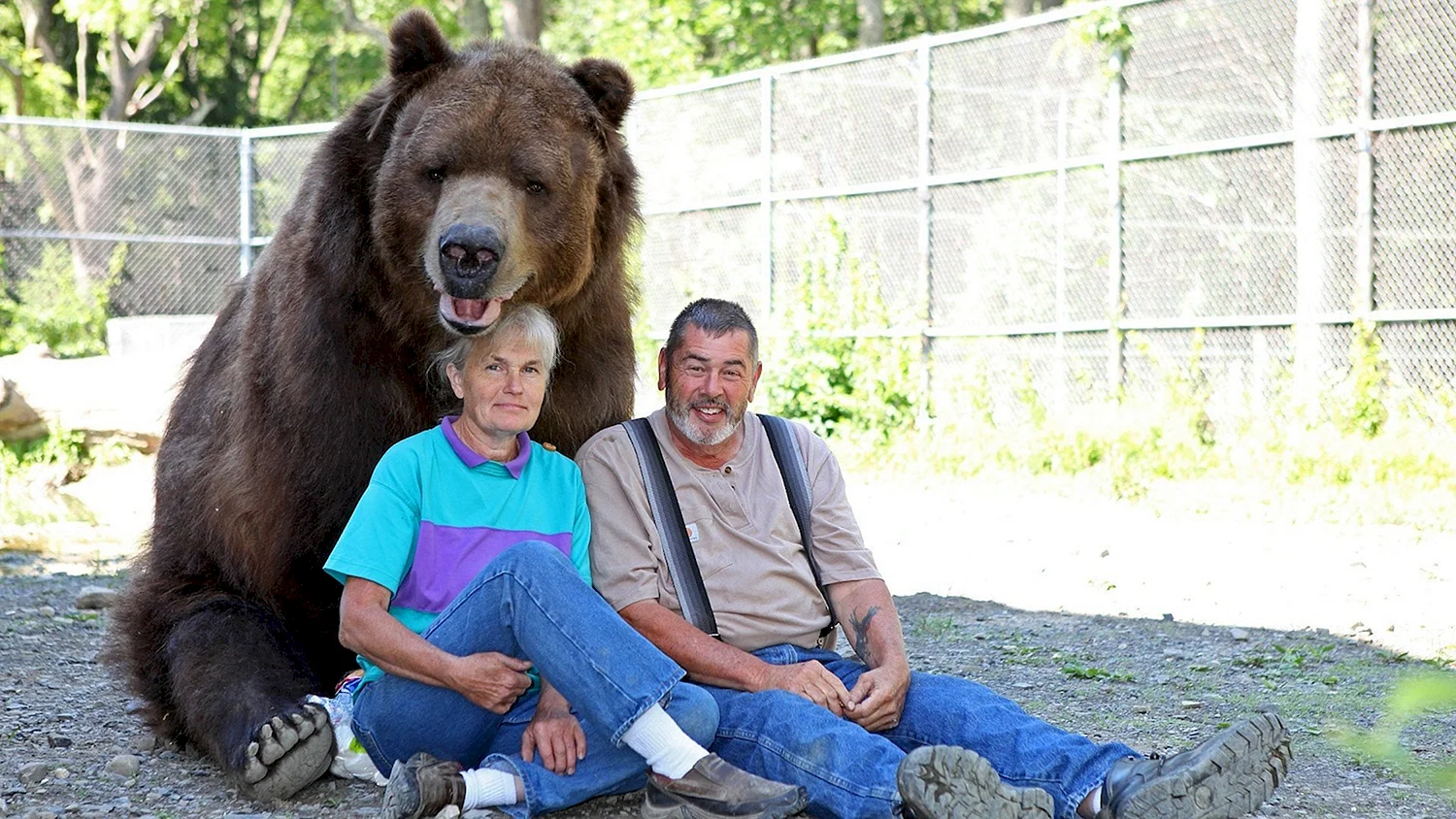 Джим Ковальчик и медведь
