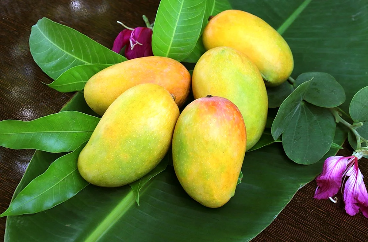 Египетское манго