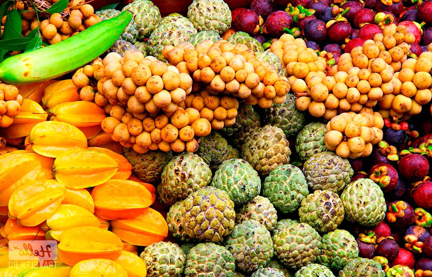 Экзотические фрукты Тайланда