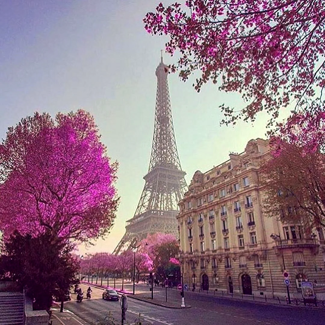Эльфивая башня в Париже Эстетика
