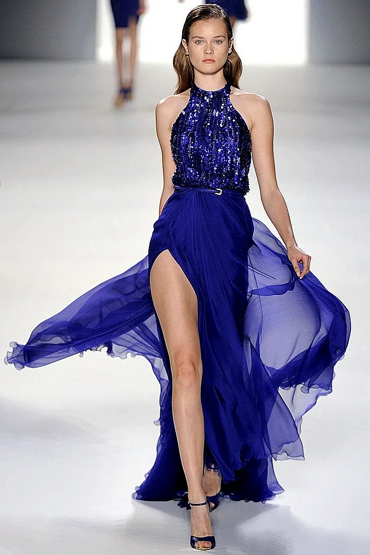 Elie Saab Blue Dress