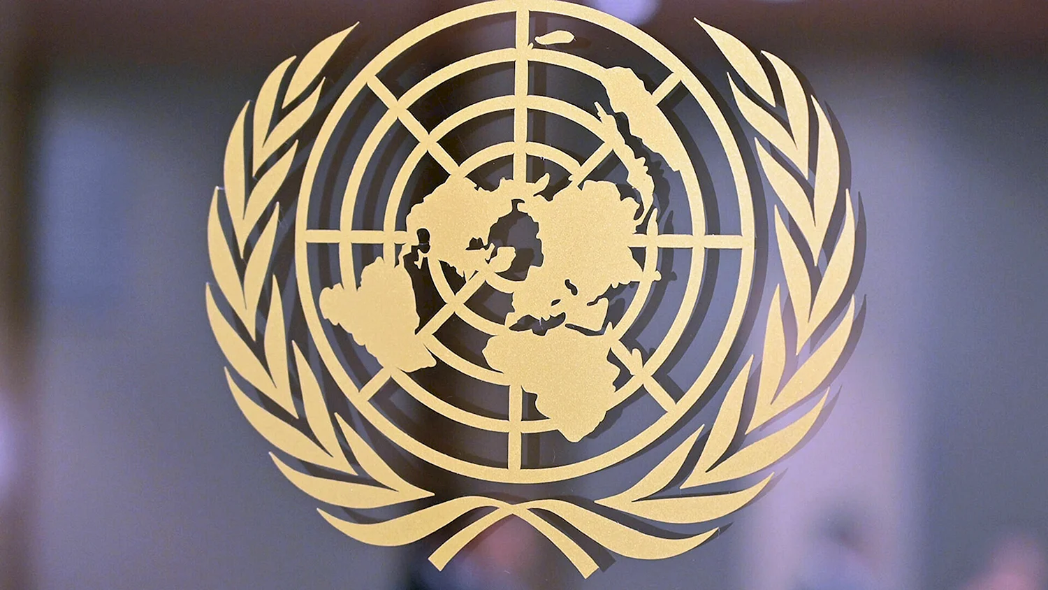 Эмблема ООН по правам человека