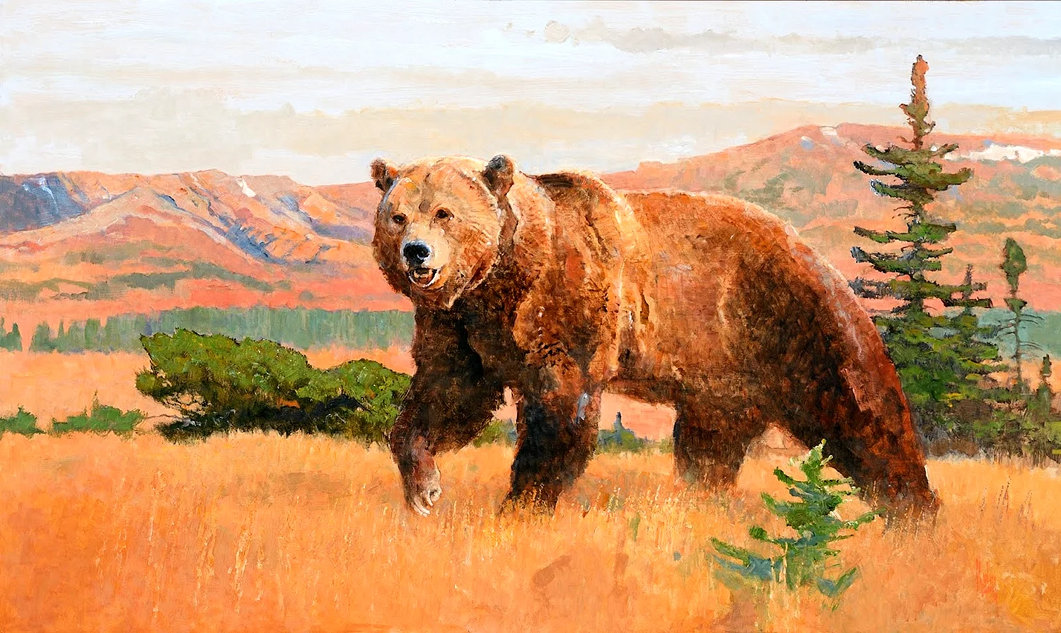 Эрик Цабель картина медведь