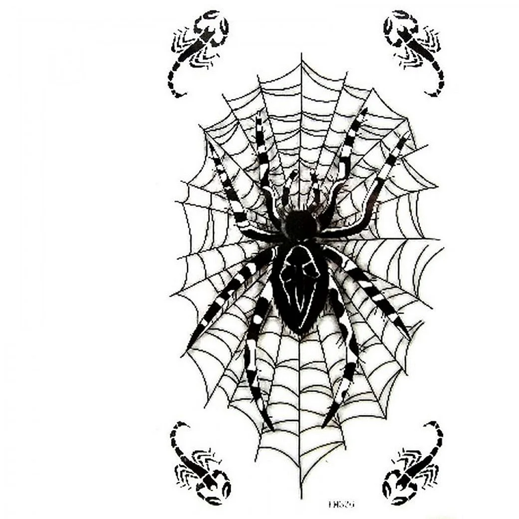 Эскиз тату паук с паутиной