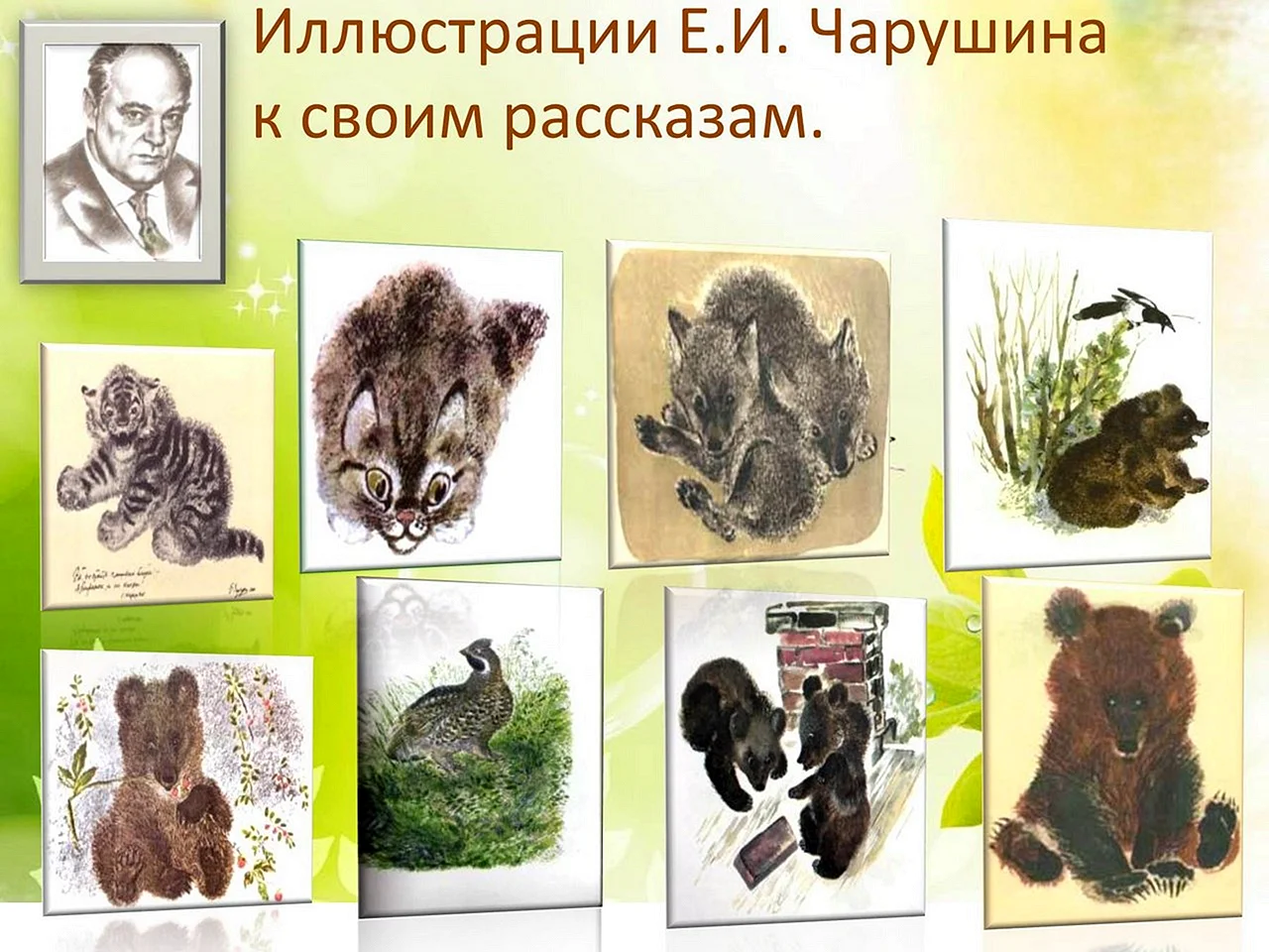 Евгений Иванович Чарушин мир животных