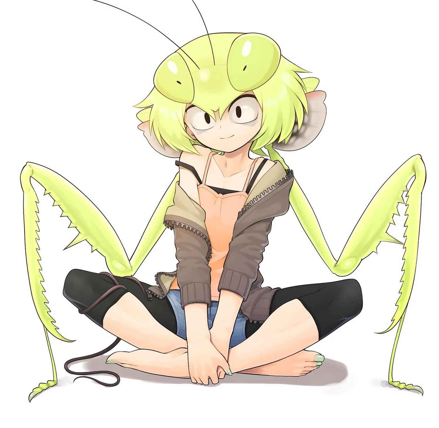 Evolvingmonkey Mantis Art