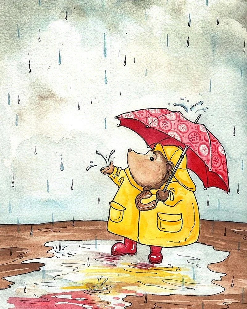 Ежик под дождем