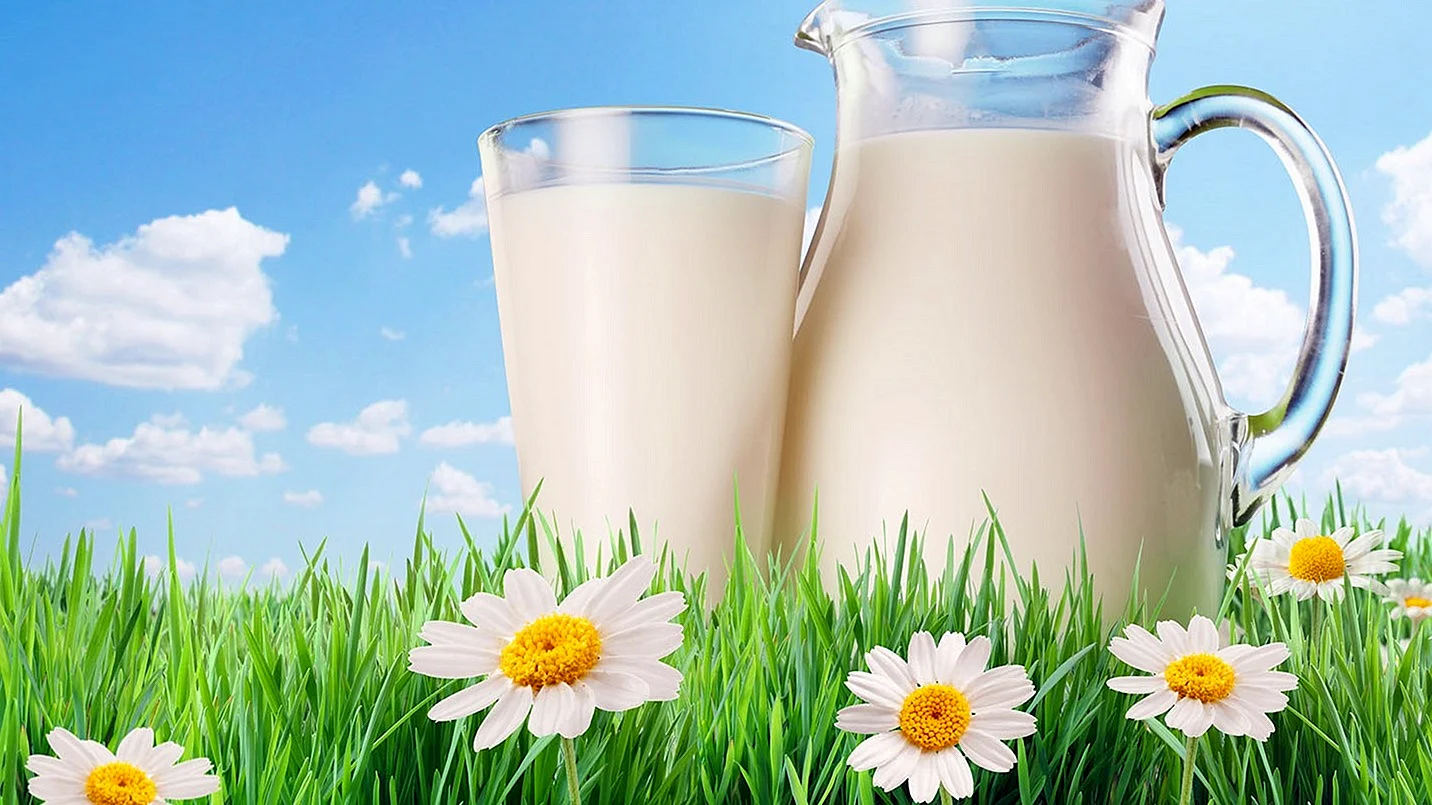 Фёдоровские молочные продукты