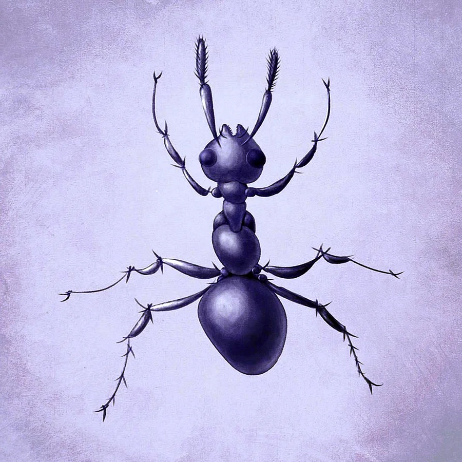 Фиолетовый муравей