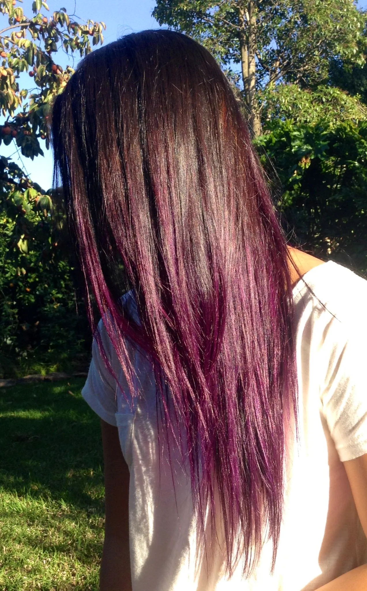 Фиолетовый тоник на русые волосы