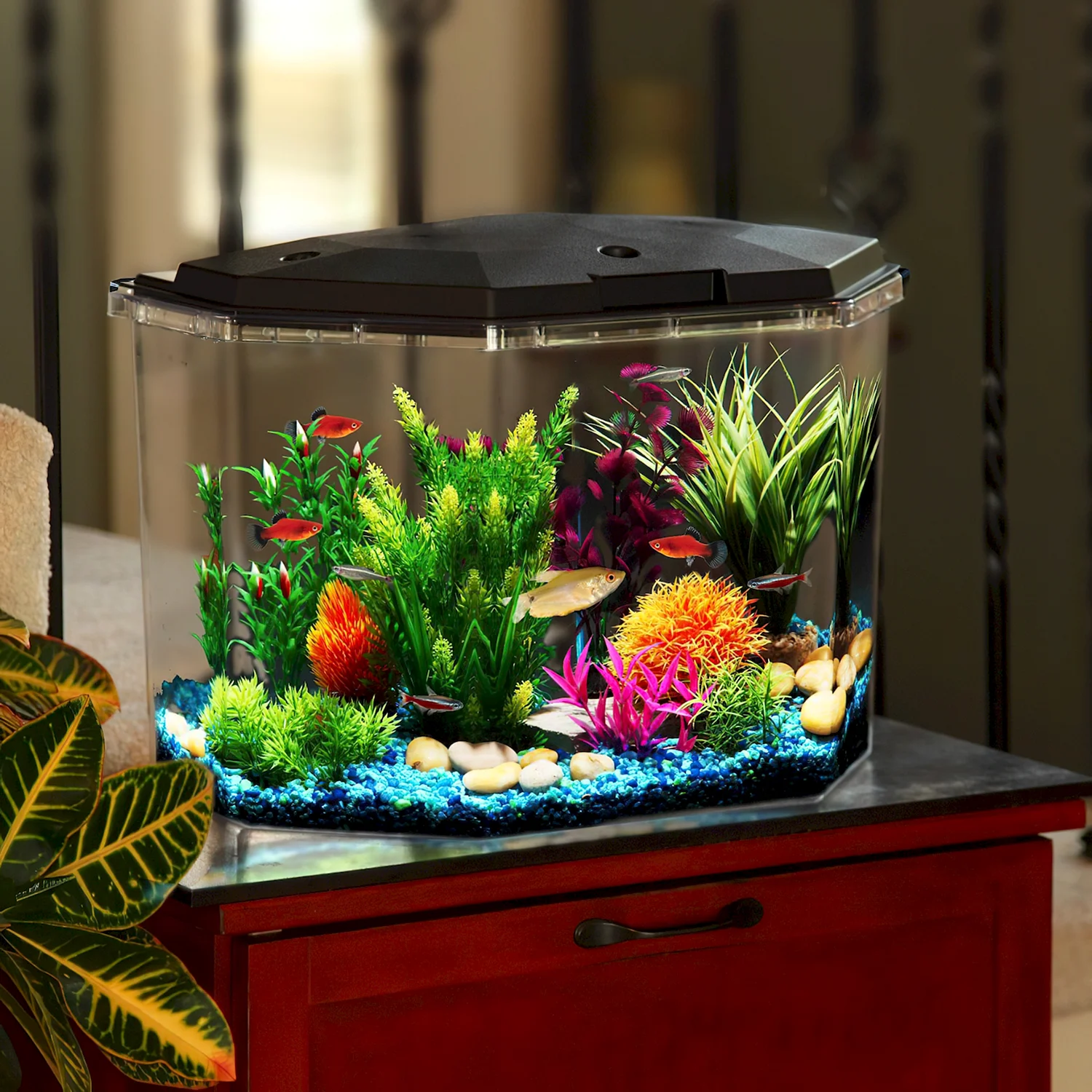 Fish Tank аквариум