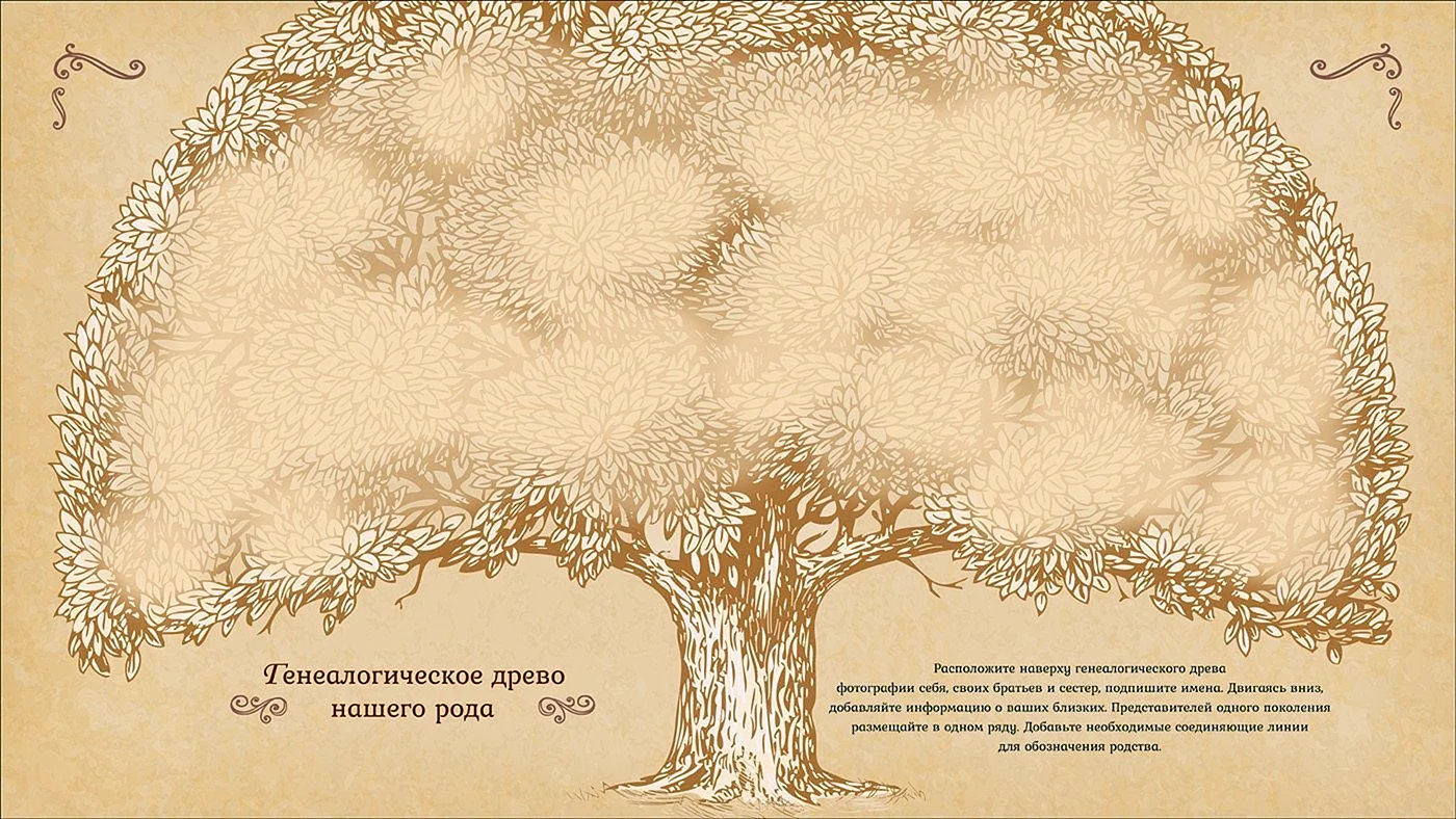 Фон для генеалогического дерева