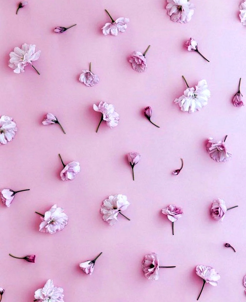 Фон мелкие розовые цветы