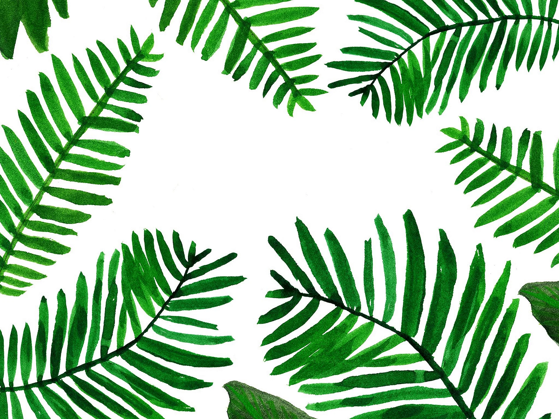Фон пальмовые листья папоротников