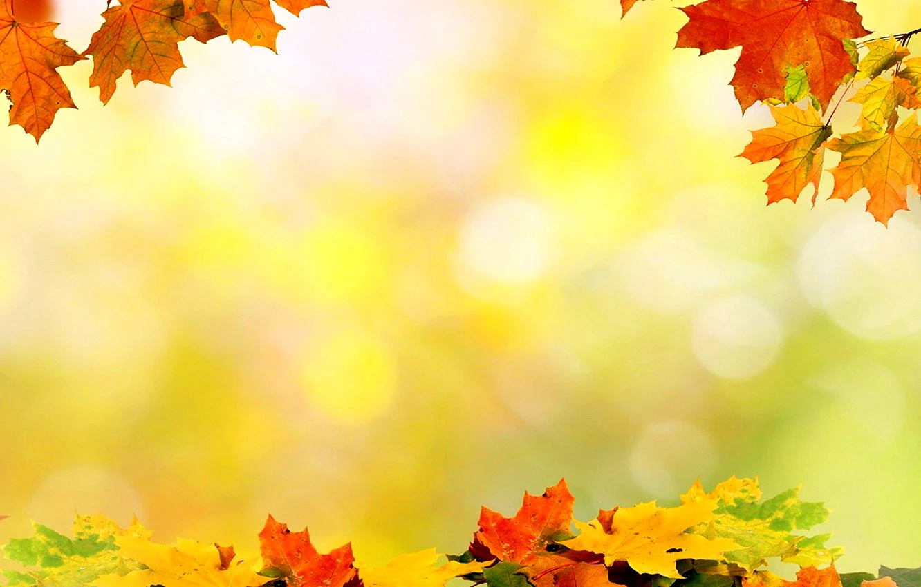 Фон рефератных листов про осень