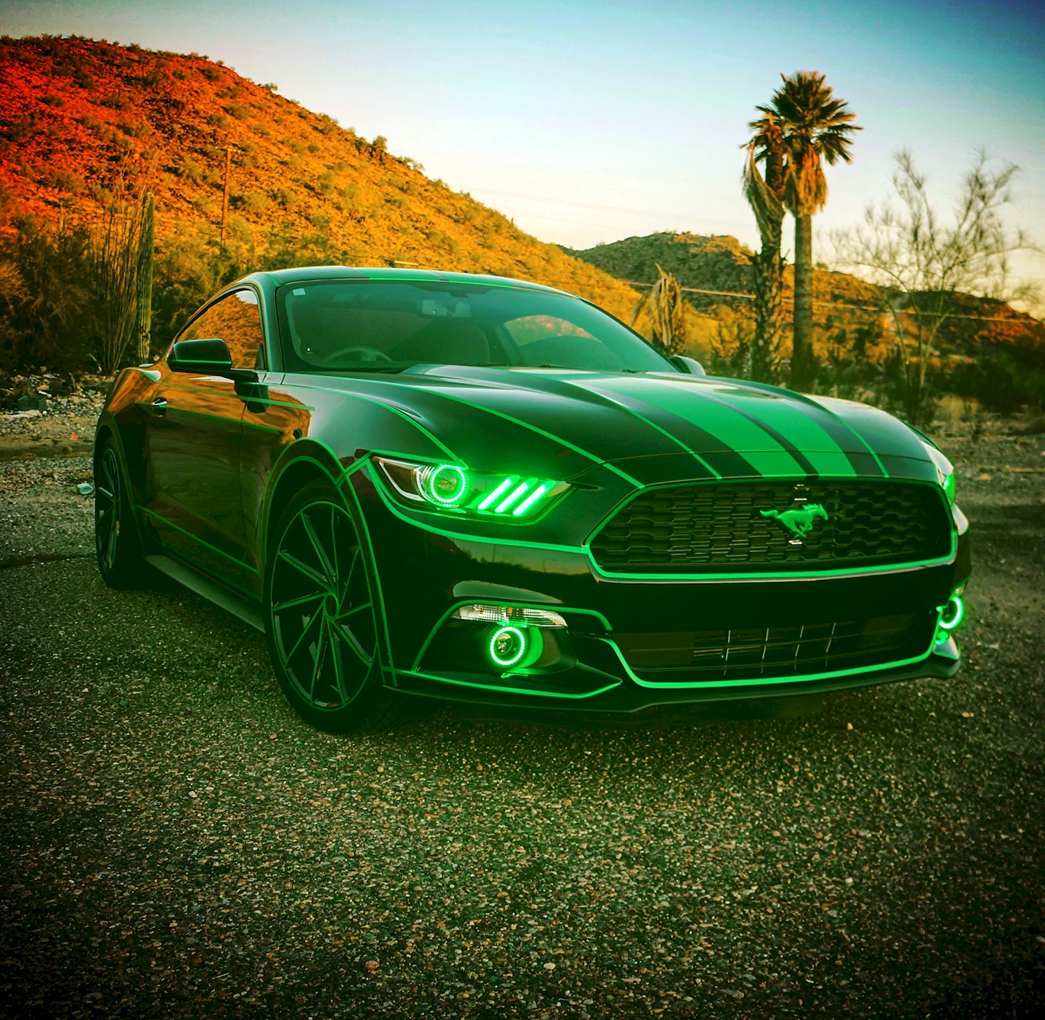 Ford Mustang зеленый