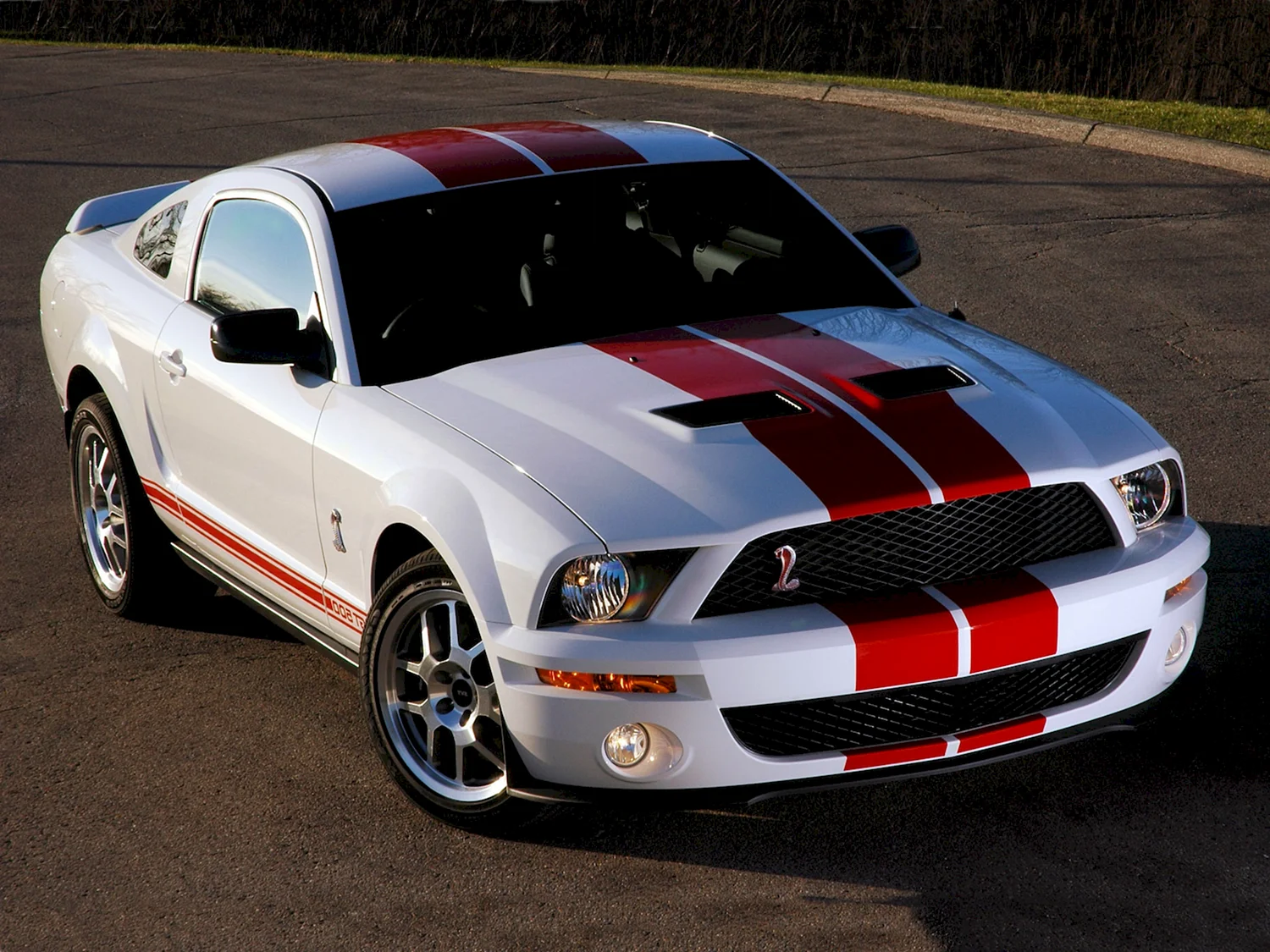 Ford Shelby gt500