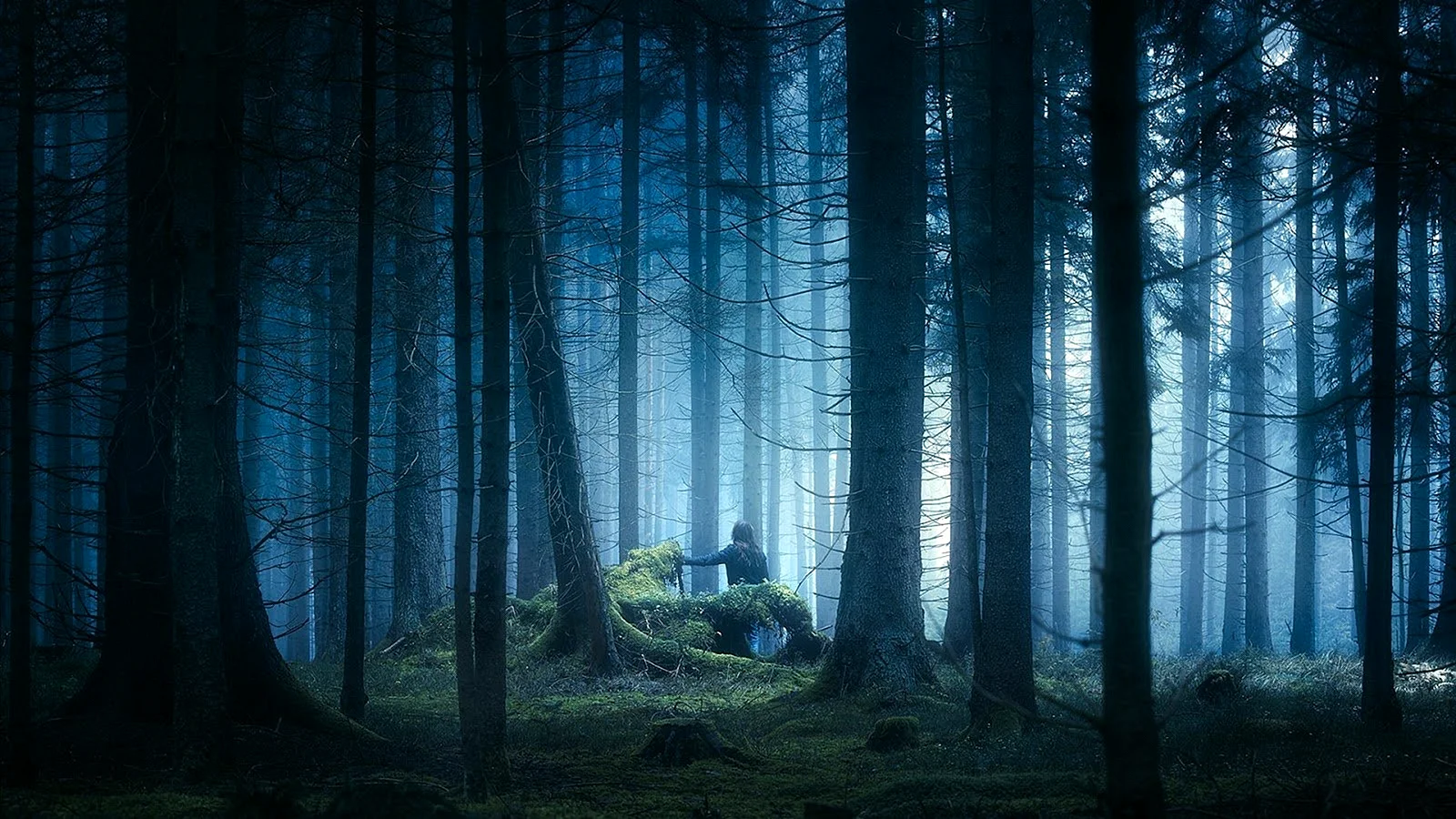 Форкс лес