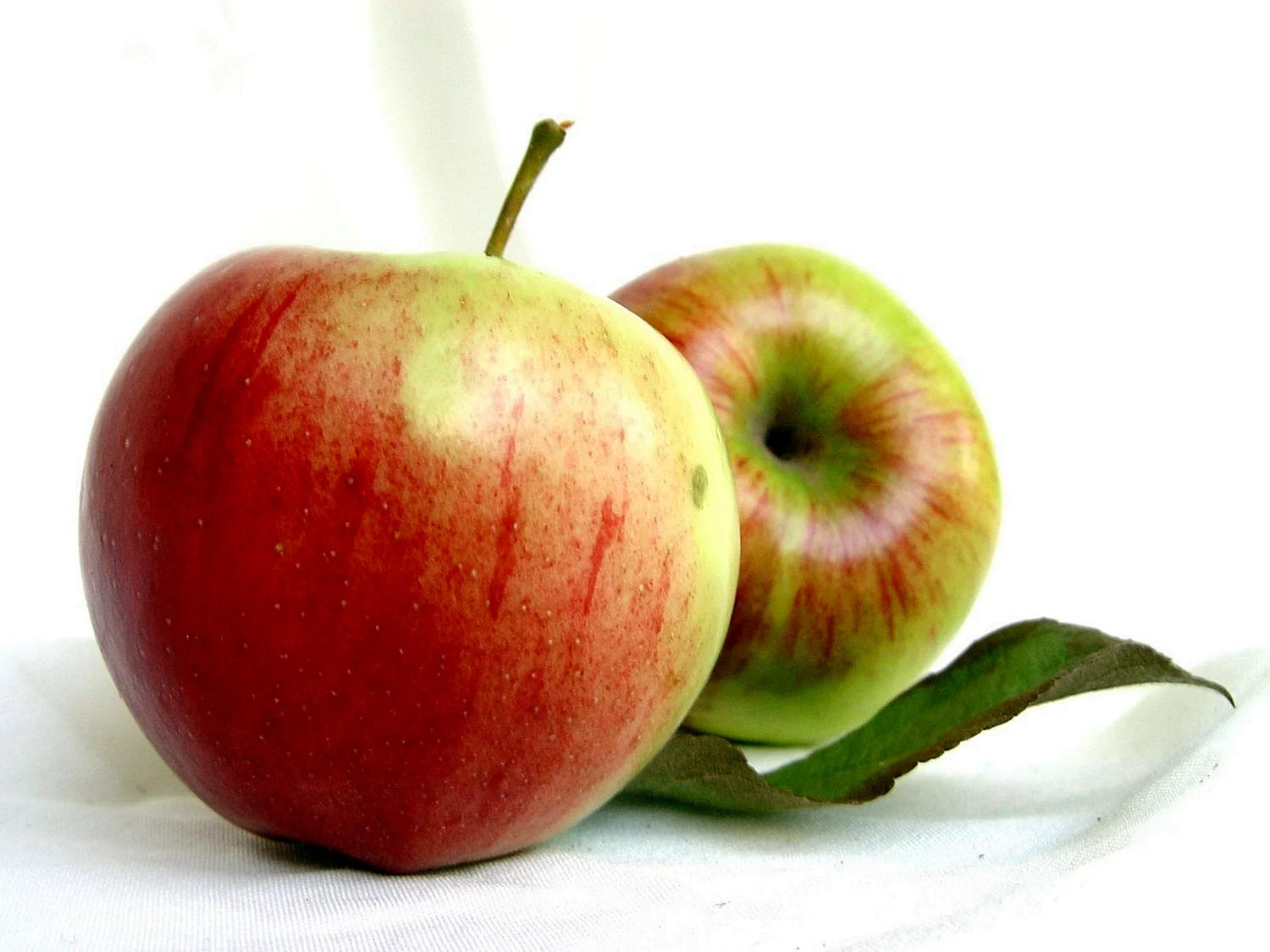 Фото яблока на белом фоне