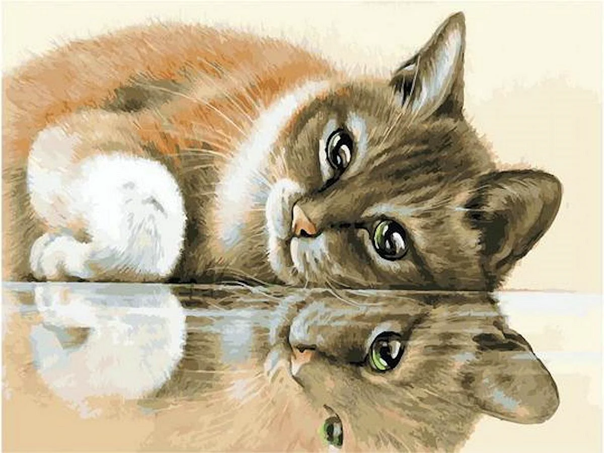 Фото кошки рисунок