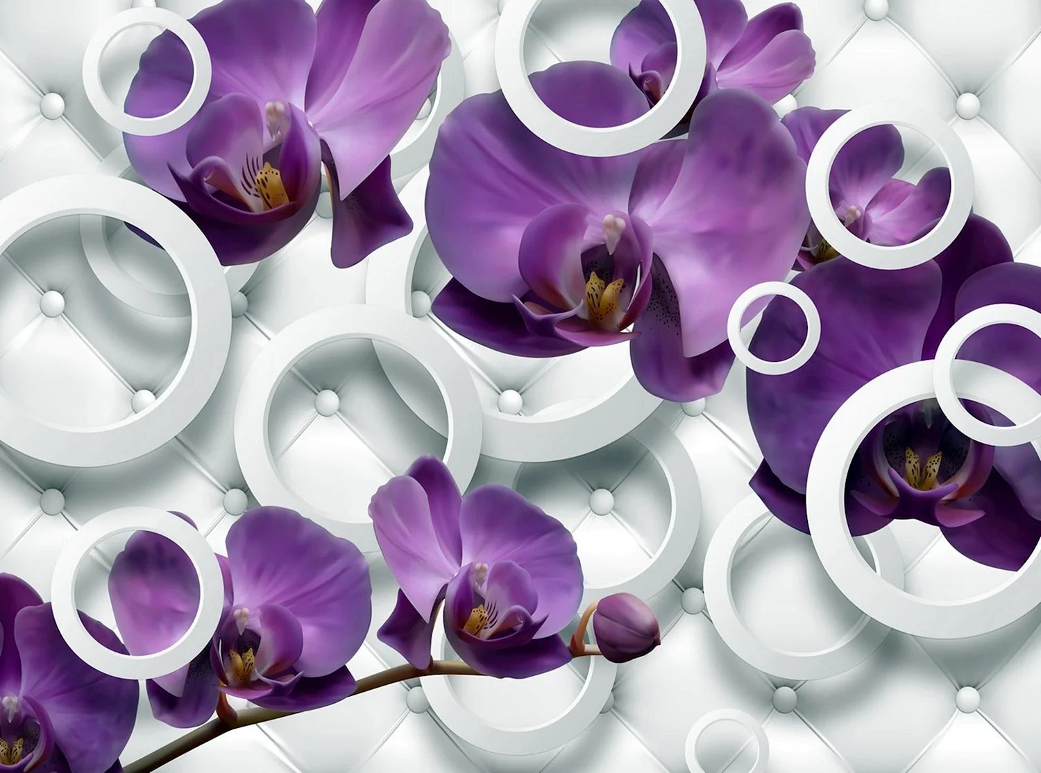 Фотообои сиреневые орхидеи