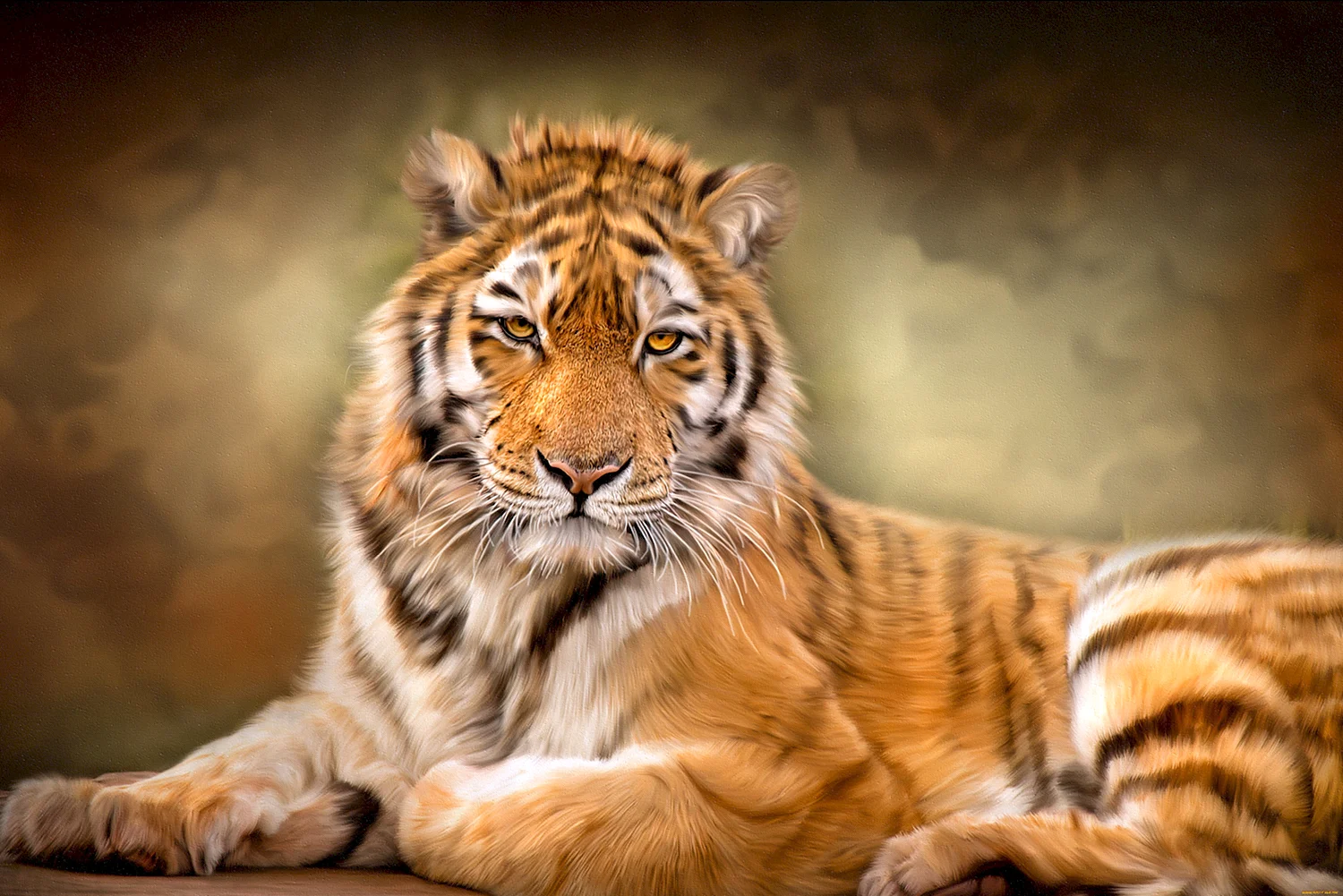 Фотообои тигр