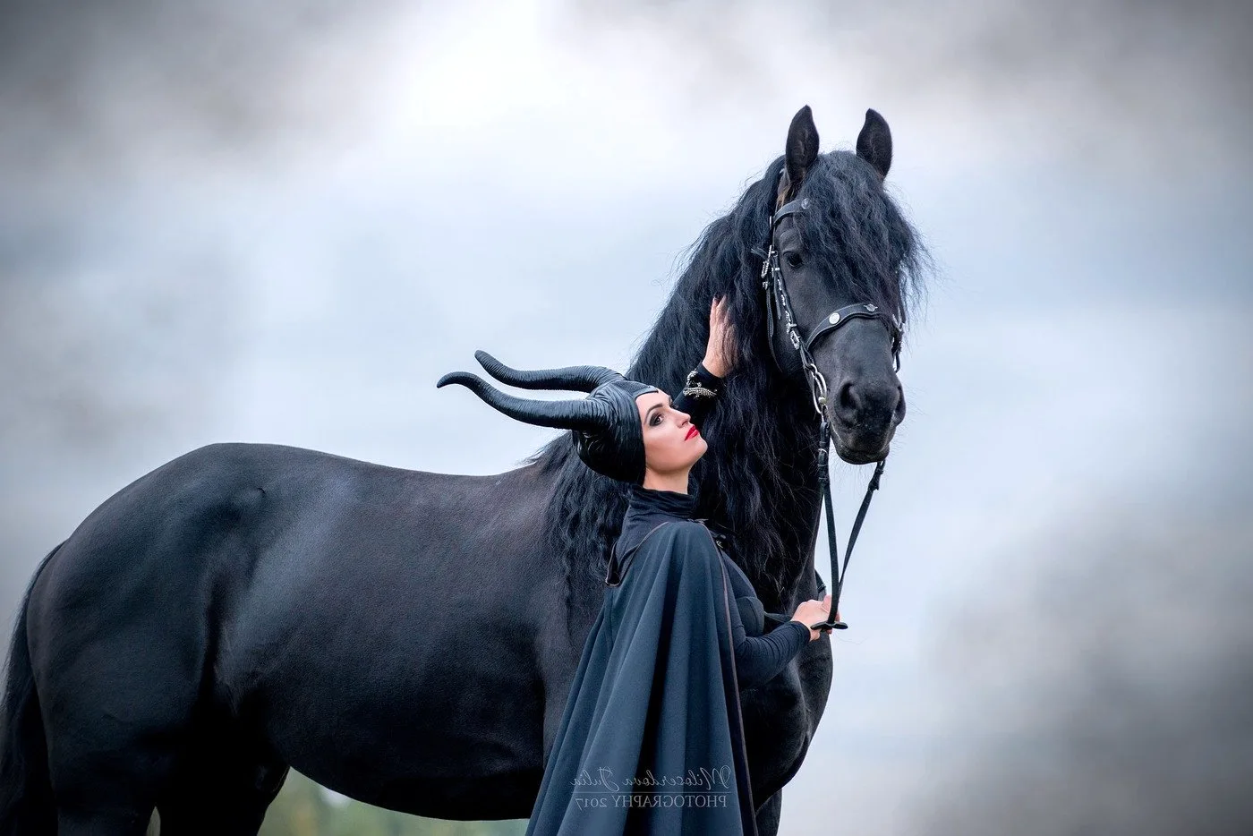 Фотосессия с фризской лошадью