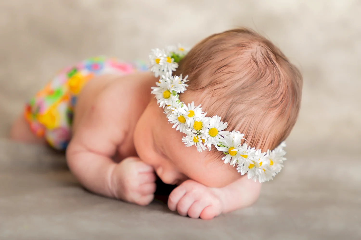 Фотосессия с ромашками для новорождённого