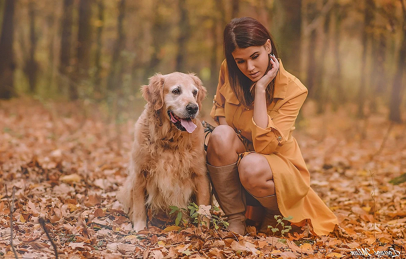 Фотосессия с собакой осенью