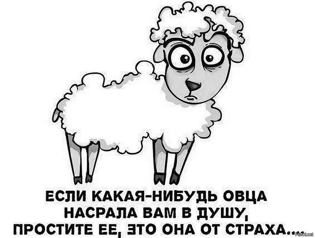 Фразы про овечек