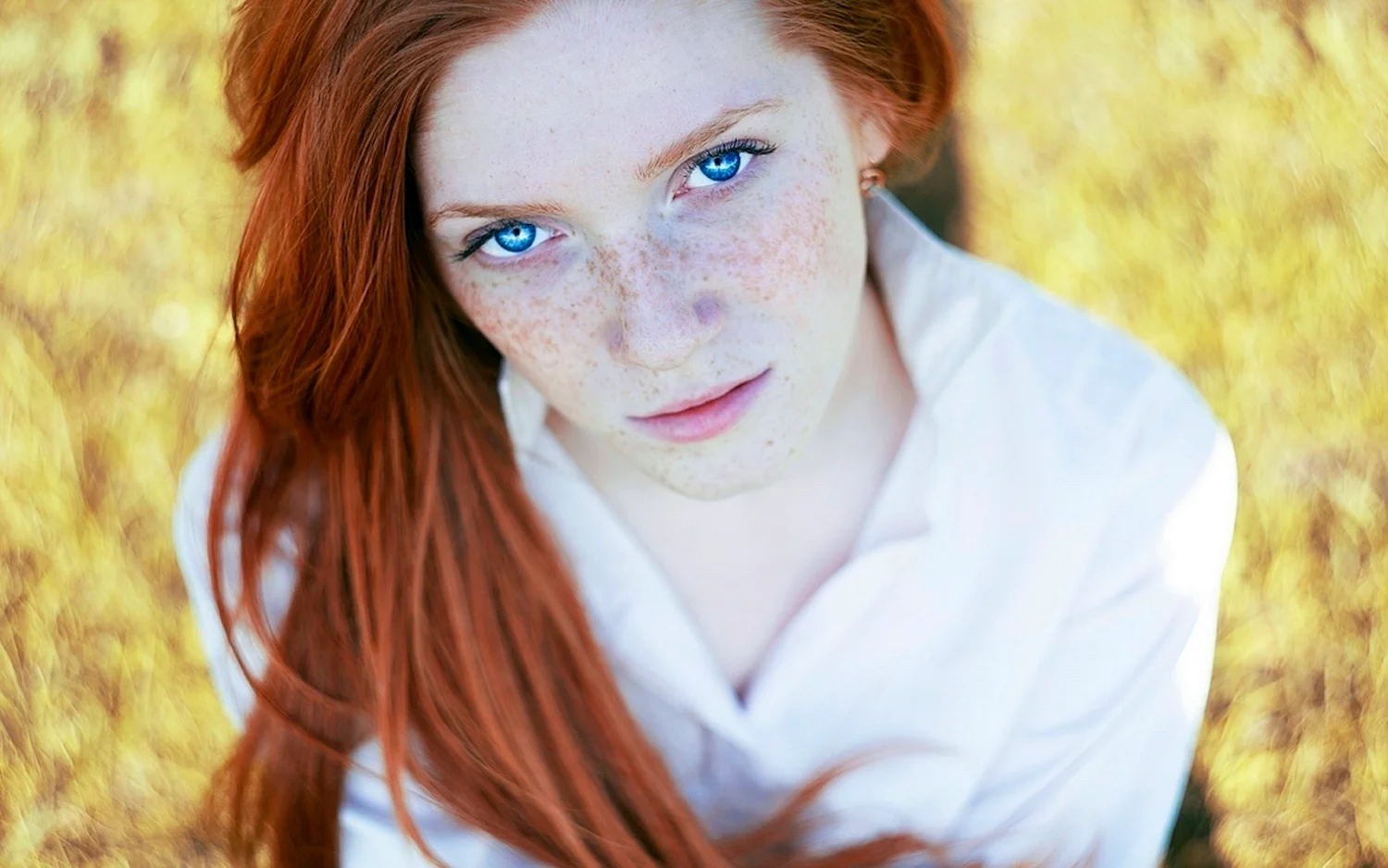 Freckles Эвелина Лашук